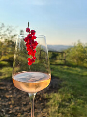 Outdoor scene with the cider or berry white pink wine in glass