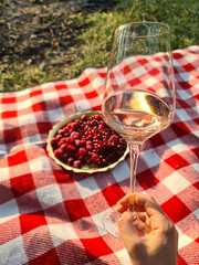 Hand holding wine glass in front of berries in the outdoor pick nick
