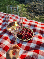 Hand holding wine glass in front of berries in the outdoor pick nick