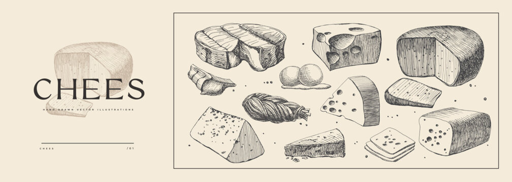 Set of hand-drawn cheeses on light background. Maasdam, smoked cheese, pigtail cheese, Gouda, Camber. Retro picture for menu of restaurants, markets, shops. Vector illustration in style of engraving.