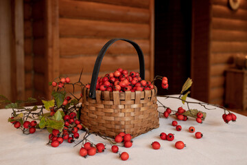 Fototapeta na wymiar A basket full of ripe red hawthorn berries, scattered on the table, branches from the shrub