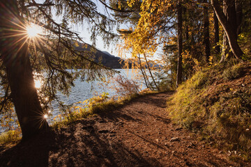 autumn walking path next to a lake