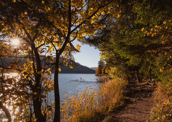 autumn walking path next to a lake