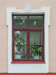 Obraz premium Houseplants with spotted leaves on window sill. Old fashioned window with architectural details.