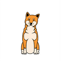 Shiba 柴犬