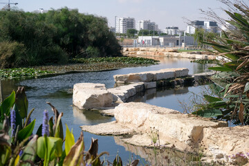 Park with an artificial lake on the outskirts of Beer Sheva