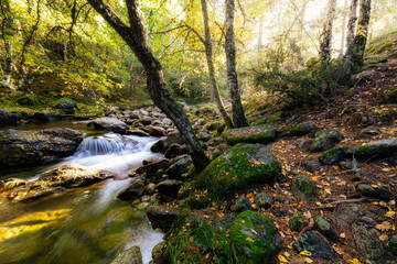 Otoño en la sierra de Madrid