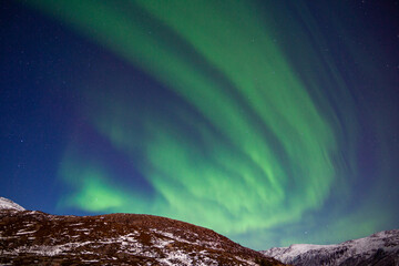 Fototapeta na wymiar Northern lights aurora borealis in Tromso, Norway
