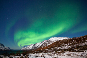 Obraz na płótnie Canvas Northern lights aurora borealis in Tromso, Norway