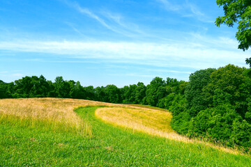 rolling hills dry wild grass grain field mowed hiking path trail blue cloudy sky nature background