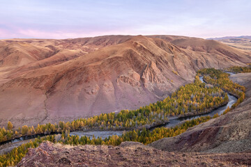 Mountain river in the valley with a view of yellow larches, mountains and autumn at dawn. Altai,...
