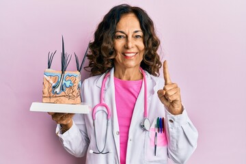 Middle age hispanic doctor woman holding model of human anatomical skin and hair smiling with an...