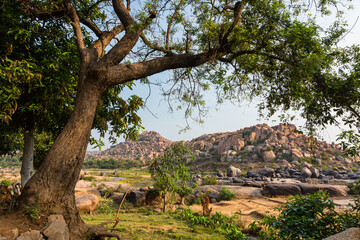 インド　ハンピのトゥンガバドラ川沿いの風景と岩山