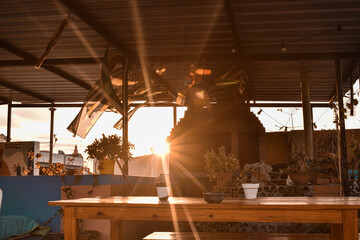 Garden with barbecue in the afternoon sun light