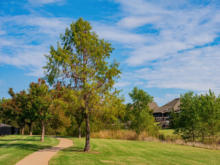 Sunny view of a beautiful community trail and envirnoment, trail
