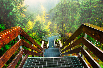 Elk Fall Provincial Park, Watterfall, service, bridge, at Campbell River, Vancouver Island, British Colombia, Bc Canada