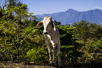 Santa B&aacute;rbara - Antioquia, Colombia