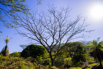 Fototapeta na wymiar Santa Bárbara - Antioquia, Colombia