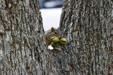 White Rock Lake, Dallas, Texas.