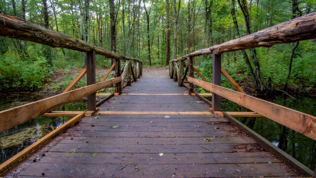 wooden bridge in the forest