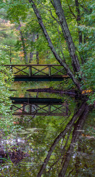 wooden bridge