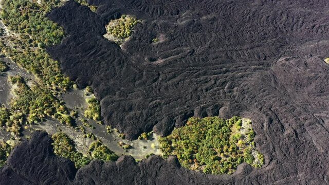 Autumn forest and frozen lava. Active volcano area aerial drone video