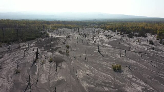 Aerial video of quad bike ATV riding dry river, dry trees, dead forest against the backdrop of a valley of volcanoes
