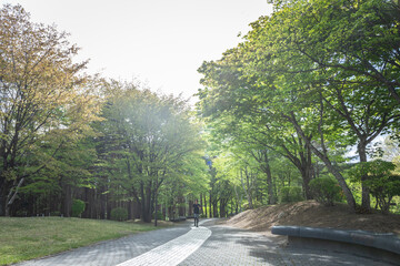 ウォーキングする男性（全身）
