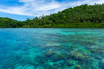 Pristine water at the coral garden in Puerto Galera, Mindoro Island, Philippines.  Travel and landscapes.