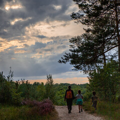 Famille en balade en fin de journée dans le parc national de haute campine (Maasmechelen)