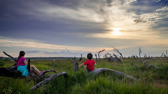 Enfants admirant un coucher de soleil lors d'une randonn&eacute;e dans les fagnes (Wallonie, Belgique)