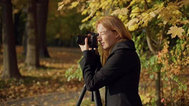 redhead smiling caucasoan woman photographer adjusts the camera on a tripod, looks into the viewfinder, takes photos of the landscape in the autumn sun park