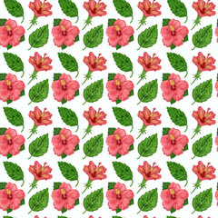 illustration of a seamless pattern of hibiscus plants flowers and leaves of a plant on a background