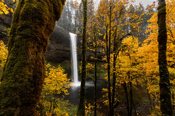 Beautiful autumn forest landscape with majestic waterfall and fall foliage, Silver Falls State Park, Oregon