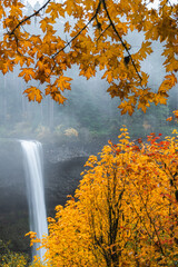 Vibrant fall foliage and autumn color in foggy forest surrounding magnificent waterfall, Oregon