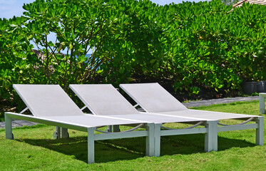 Three sun loungers standing on the grass against the backdrop of bright green tropical bushes and...