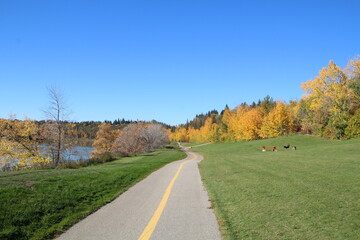 Trail In The Park, Government House Park, Edmonton, Alberta