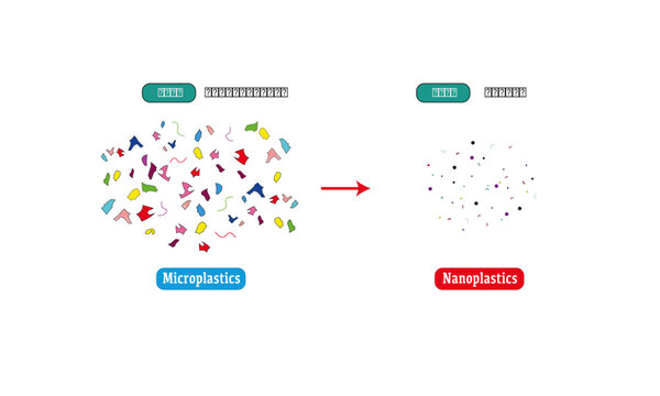 Microplastics and Nanoplastics 