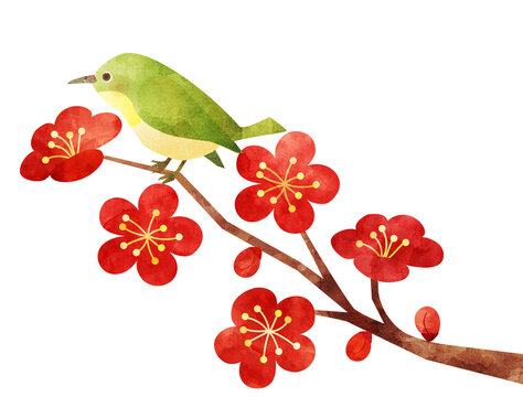 水彩風に加工した梅にとまっている鳥のイラスト