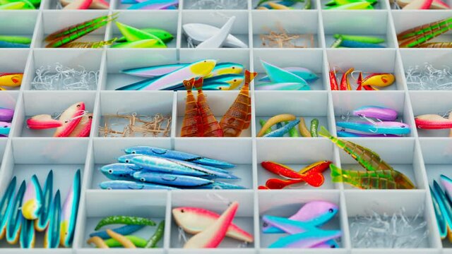 Seamless looping animation of colourful fish bites. Fishing accessories in a box