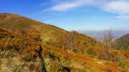 Fototapeta na wymiar Mountain meadows in autumn. Vegetation has acquired autumn colors that contrast with the blue sky