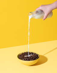 Pouring milk into the cereal bowl. Bowl of chocolate cereals and milk.