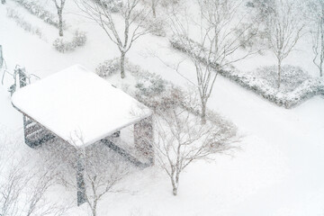 눈오는 날 공원