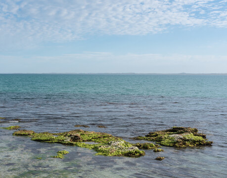 Green Algae Covered Rocks In The Clean Blue Waters Of Guichen Bay, On The Limestone Coast At Robe, South Australia