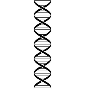 simple stylized dna strand double helix