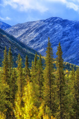Altai mountain landscape, panorama autumn landscape background, fall nature view
