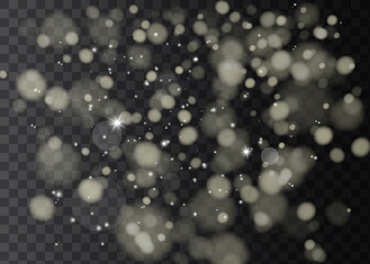 Shining bokeh isolated on transparent background. Golden bokeh lights with glowing particles isolated. Christmas concept