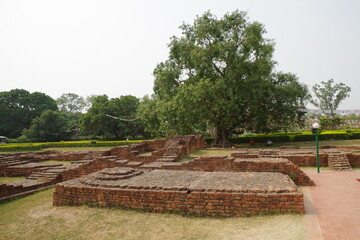 ネパールの世界遺産　仏陀の生誕地ルンビニのマヤ・デヴィ寺院