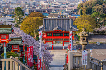 春の犬山成田山の山門