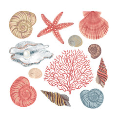 Set of marine life. Shells, pearls, corals. Colorful illustration.